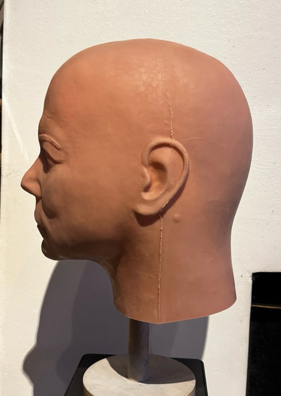 Dark Labs DL Kirk blank: Left-facing profile showing the ear, jawline and neck.