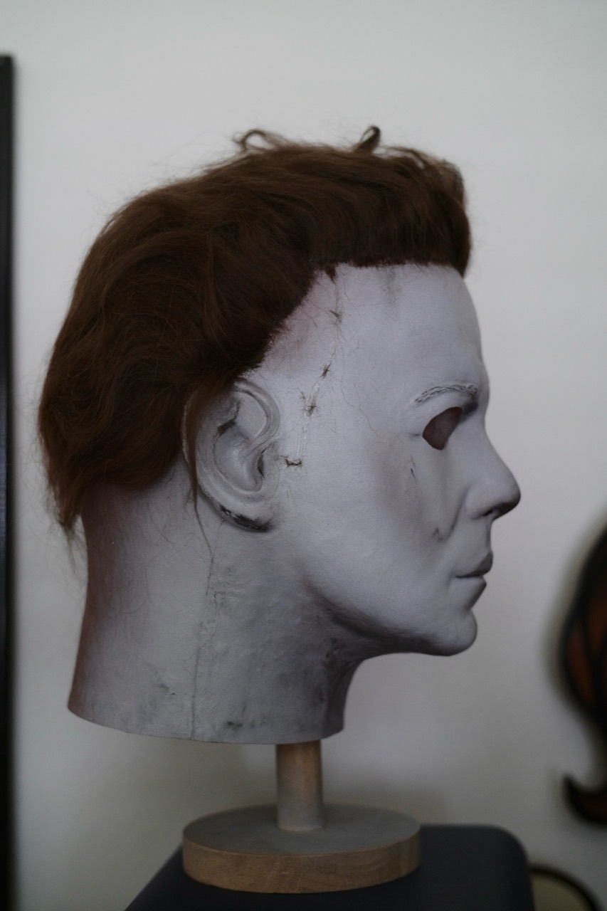 Dark Labs Halloween Begins: Right-facing profile showing the head shape and hair.